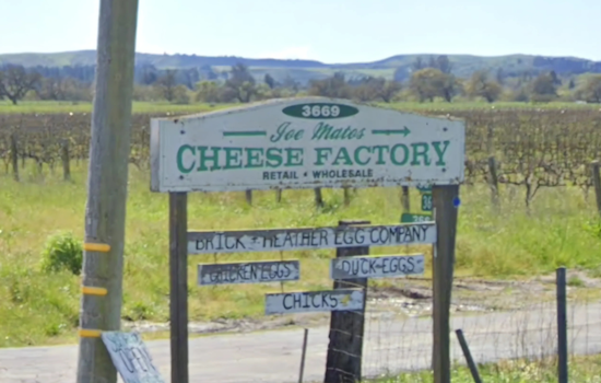 Santa Rosa's Beloved Joe Matos Cheese Factory Shuts Down After 45 Years, Ending Legacy of Traditional Portuguese Cheese