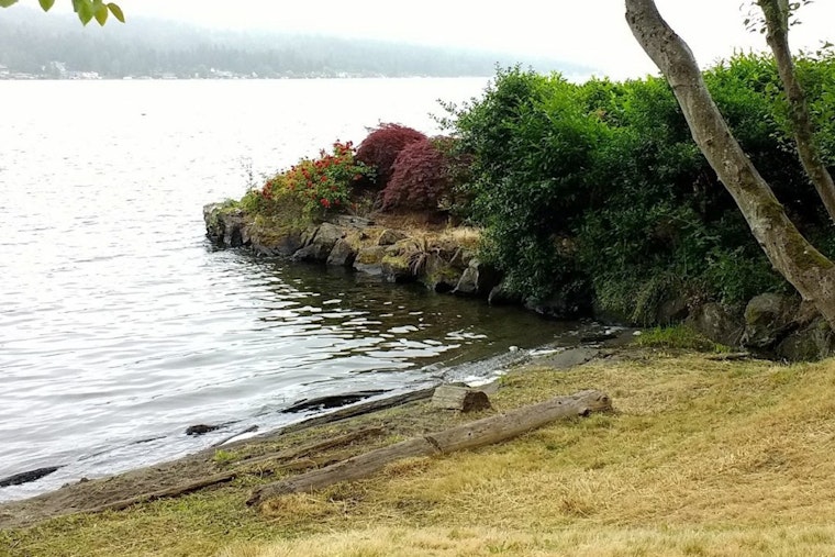 Seattle's Cedar Beach Park Reborn as Lake City Beach Park Celebrating Local Spirit and History