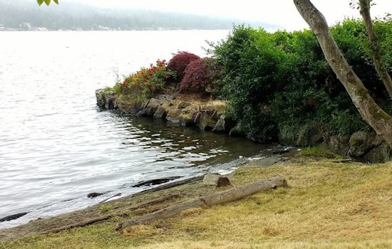Seattle's Cedar Beach Park Reborn as Lake City Beach Park Celebrating Local Spirit and History