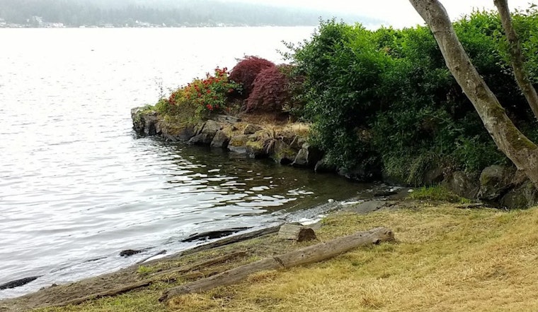 Seattle's Cedar Beach Park Reborn as Lake City Beach Park Celebrating Local Spirit and History