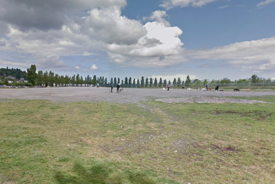 Seattle's Magnuson Off Leash Area Set for Temporary Closure for Maintenance from Feb 19-21