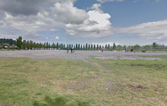 Seattle's Magnuson Off Leash Area Set for Temporary Closure for Maintenance from Feb 19-21