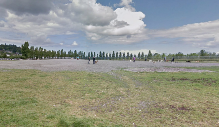 Seattle's Magnuson Off Leash Area Set for Temporary Closure for Maintenance from Feb 19-21