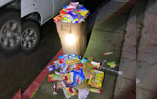 Sebastopol "Candy Bandit" Nabbed by Police After Sweet-toothed Smash-and-Grab at Chevron Station