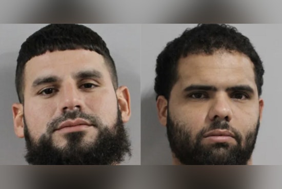 Second Suspect Surrenders in Polk County Swan Theft Case