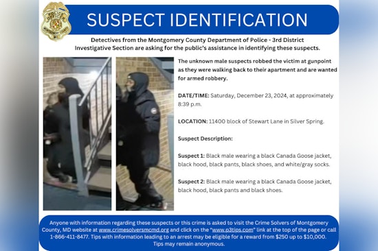 Silver Spring Detectives Request Public's Help to Identify December Armed Robbery Suspects