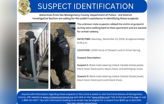 Silver Spring Detectives Request Public's Help to Identify December Armed Robbery Suspects