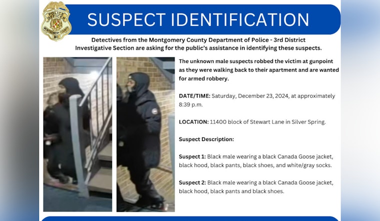Silver Spring Detectives Request Public's Help to Identify December Armed Robbery Suspects