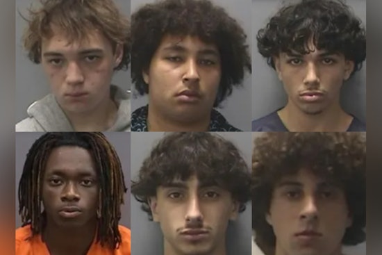 Six Indicted, Including Five Minors Charged as Adults, for Attempted Murder in Tampa Dog Park Attack