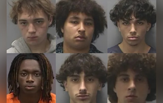 Six Indicted, Including Five Minors Charged as Adults, for Attempted Murder in Tampa Dog Park Attack
