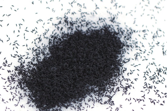 Springtails Make a Seasonal Appearance in West Michigan as Snow Melts, Revealing Misnamed 'Snow Fleas'