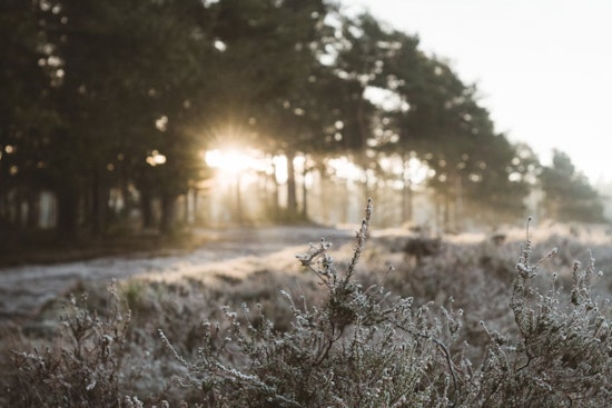 St. Louis Braces for a Chilly 6°F Morning as NWS Predicts Warmer Days Ahead