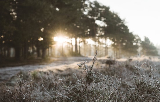 St. Louis Braces for a Chilly 6°F Morning as NWS Predicts Warmer Days Ahead