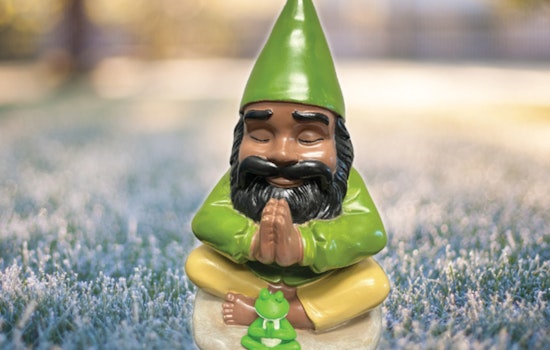 St. Louis Park's Annual Gnome Hunt Fosters Joy and Community in Chilly Minnesota Winter