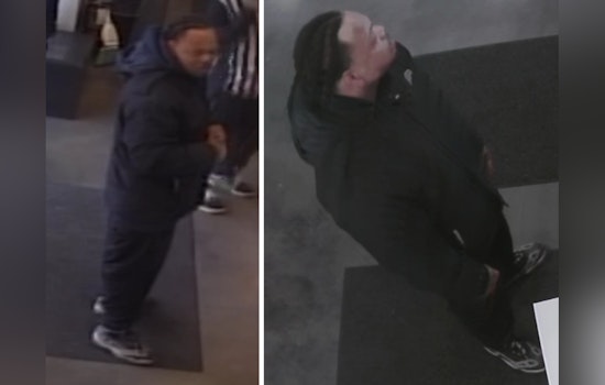 St. Louis Police Seek Public's Help to Identify Suspect in Car Clouting Incident on Locust Street