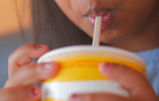 Stuart City Reinstates Use of Plastic Straws Following Debate Over Environmental Impact