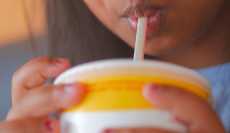 Stuart City Reinstates Use of Plastic Straws Following Debate Over Environmental Impact