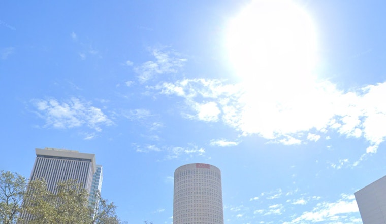 Sunny Skies and Mild Evenings Ahead for Tampa, Minor Fog and Showers Barely Dampen Spirits