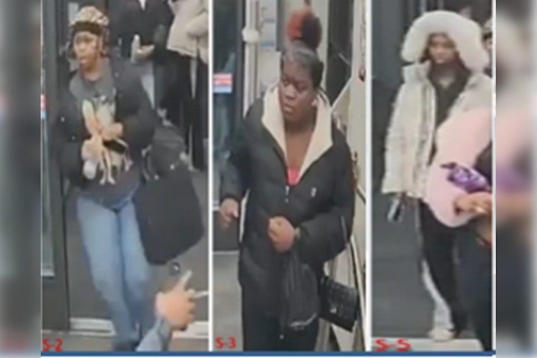 Suspect Denayla Martin Surrenders to Police for Alleged Involvement in Southeast D.C. Assault and Theft
