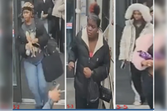 Suspect Denayla Martin Surrenders to Police for Alleged Involvement in Southeast D.C. Assault and Theft