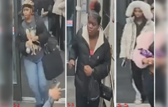 Suspect Denayla Martin Surrenders to Police for Alleged Involvement in Southeast D.C. Assault and Theft