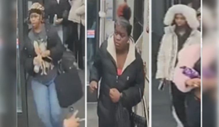Suspect Denayla Martin Surrenders to Police for Alleged Involvement in Southeast D.C. Assault and Theft