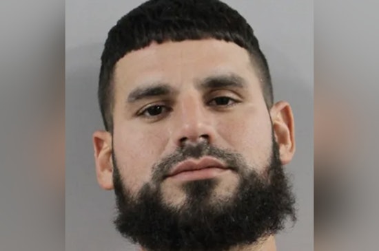 Suspect Surrenders in Lakeland's Beloved Swan Theft Case as Accomplice Remains at Large