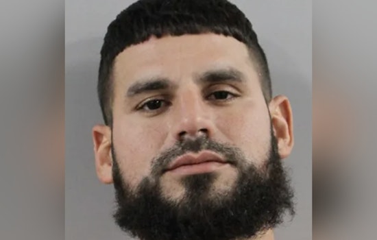 Suspect Surrenders in Lakeland's Beloved Swan Theft Case as Accomplice Remains at Large