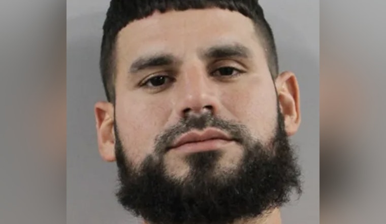 Suspect Surrenders in Lakeland's Beloved Swan Theft Case as Accomplice Remains at Large