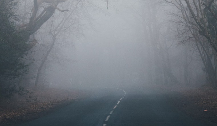 Tampa Drivers Warned of Dense Fog Advisory Affecting Morning Commute Across Southwest and West Central Florida
