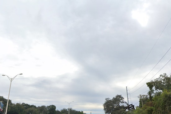 Tampa Forecast, A Week of Weather Whiplash with Sun, Showers, and Thunderstorms in Store