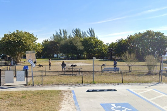Tampa Police Arrest Five Juveniles Over Assault at Davis Island Dog Park Following Feud