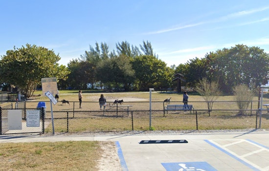 Tampa Police Arrest Five Juveniles Over Assault at Davis Island Dog Park Following Feud