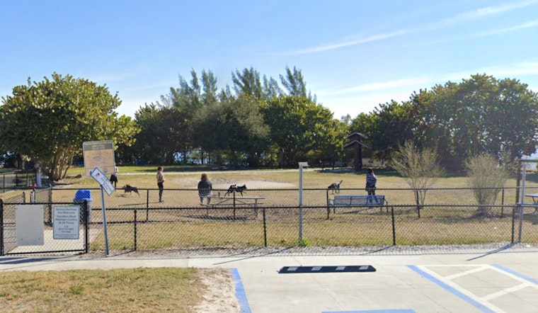 Tampa Police Arrest Five Juveniles Over Assault at Davis Island Dog Park Following Feud