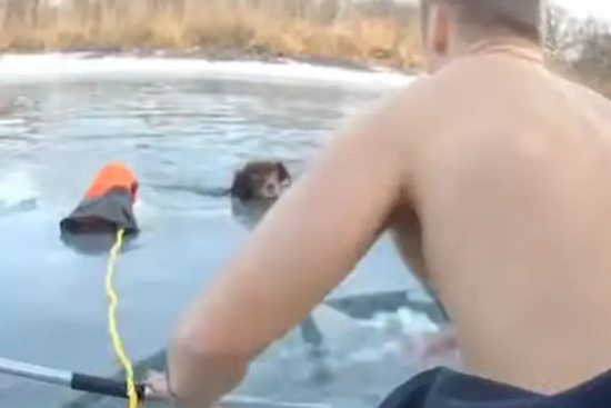 Trenton Police Officers Heroically Save Dog From Icy Waters at Elizabeth Park