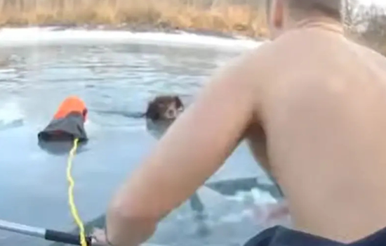 Trenton Police Officers Heroically Save Dog From Icy Waters at Elizabeth Park