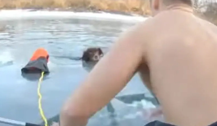 Trenton Police Officers Heroically Save Dog From Icy Waters at Elizabeth Park