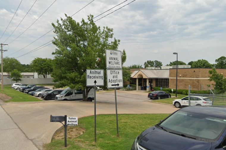 Tulsa Animal Services and OSDH Collaborate After Confirmed Rabies Case in Local Dog