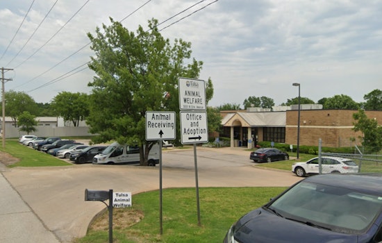 Tulsa Animal Services and OSDH Collaborate After Confirmed Rabies Case in Local Dog