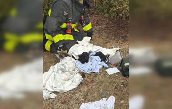 Two Critically Injured in Chicago House Fire Amid Hoarding Conditions; Multiple Cats Rescued, Some Pets Lost