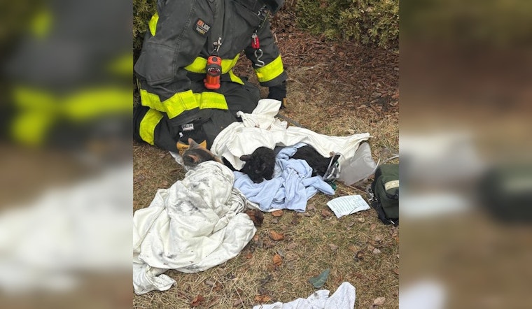 Two Critically Injured in Chicago House Fire Amid Hoarding Conditions; Multiple Cats Rescued, Some Pets Lost