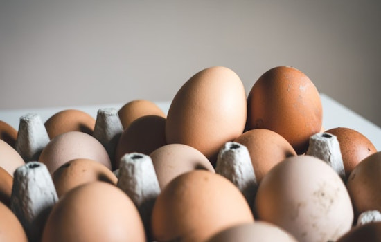 U.S. Consumers Face Soaring Egg Prices as Avian Flu Decimates Poultry Stocks