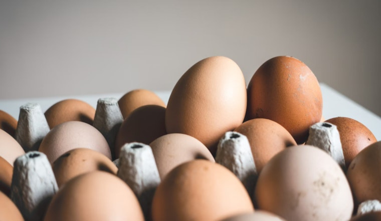 U.S. Consumers Face Soaring Egg Prices as Avian Flu Decimates Poultry Stocks