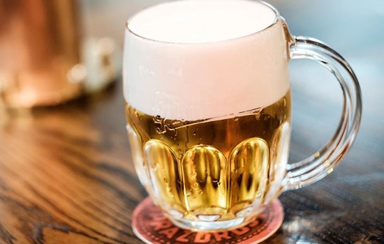 U.S. Craft Beer Industry Faces Bitter Reality with More Closures Than Openings Amid Economic Challenges