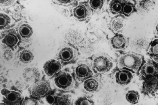 Utah State University's Brendon Guinn Uncovers Bacterial Defense Mechanisms Against Viruses