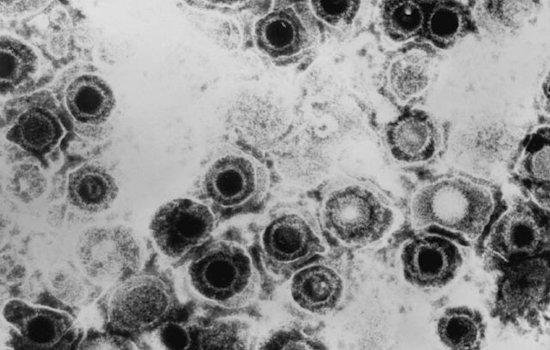 Utah State University's Brendon Guinn Uncovers Bacterial Defense Mechanisms Against Viruses