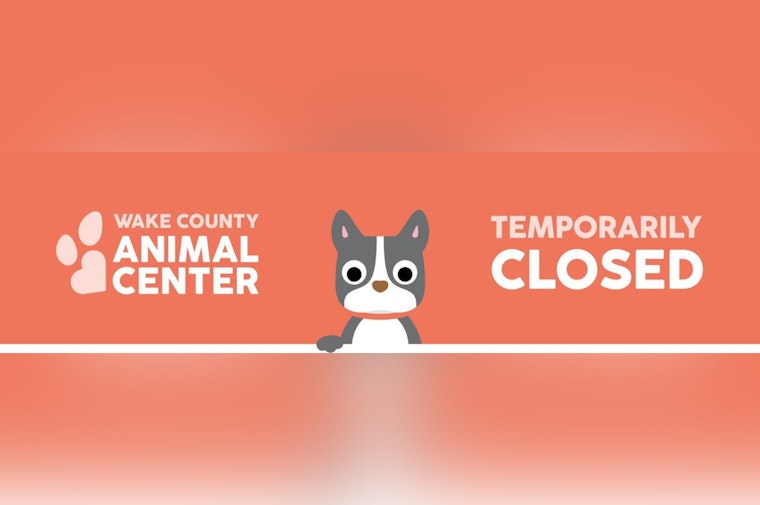 Wake County Animal Center Shuts Down for a Month Amid Canine Disease Outbreak