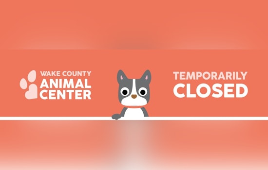 Wake County Animal Center Shuts Down for a Month Amid Canine Disease Outbreak