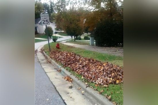 Wake Forest Announces End to Loose Leaf Curbside Collection and Requires Yard Waste Bagging Starting March 17