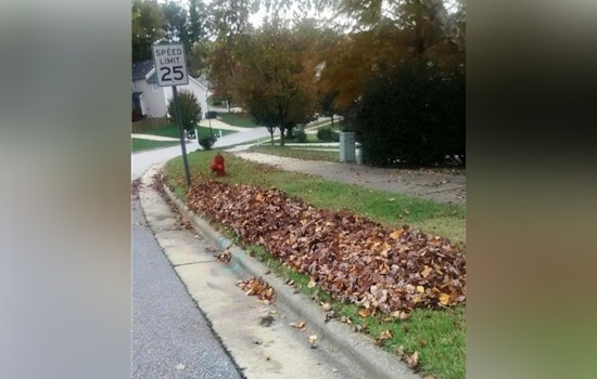 Wake Forest Announces End to Loose Leaf Curbside Collection and Requires Yard Waste Bagging Starting March 17